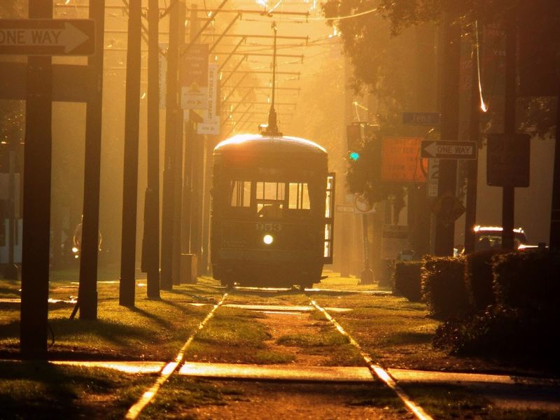 Ride The St Charles Streetcar And Step Off Into Bloom Season