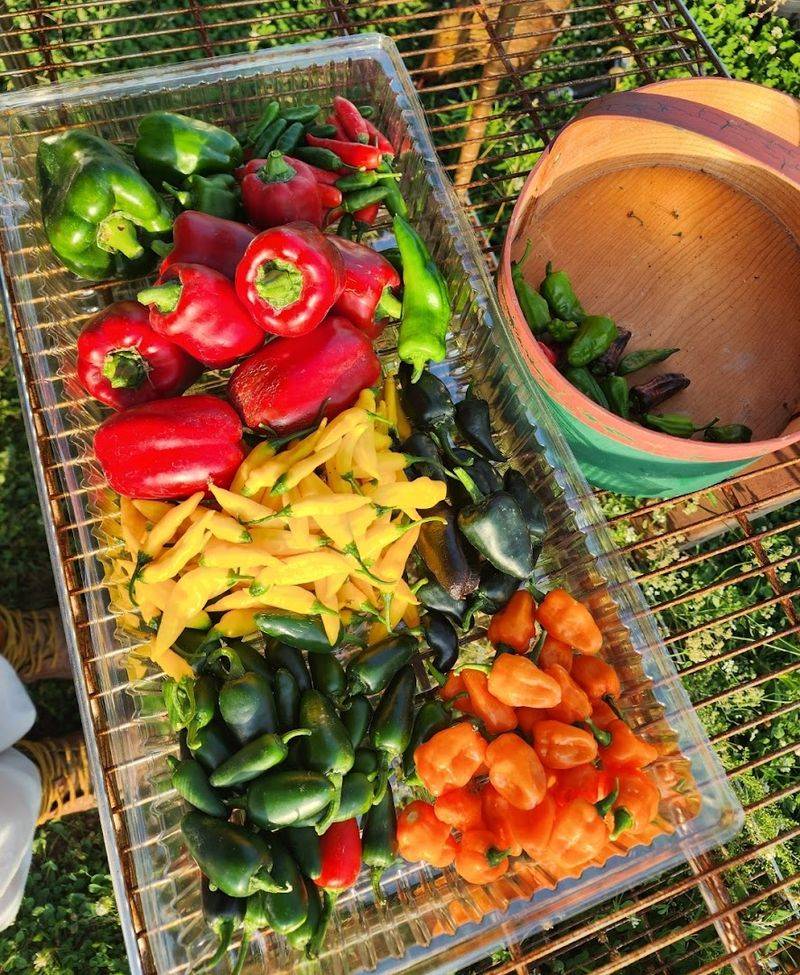 Farm-Fresh Meats and Produce With No Hidden Ingredients