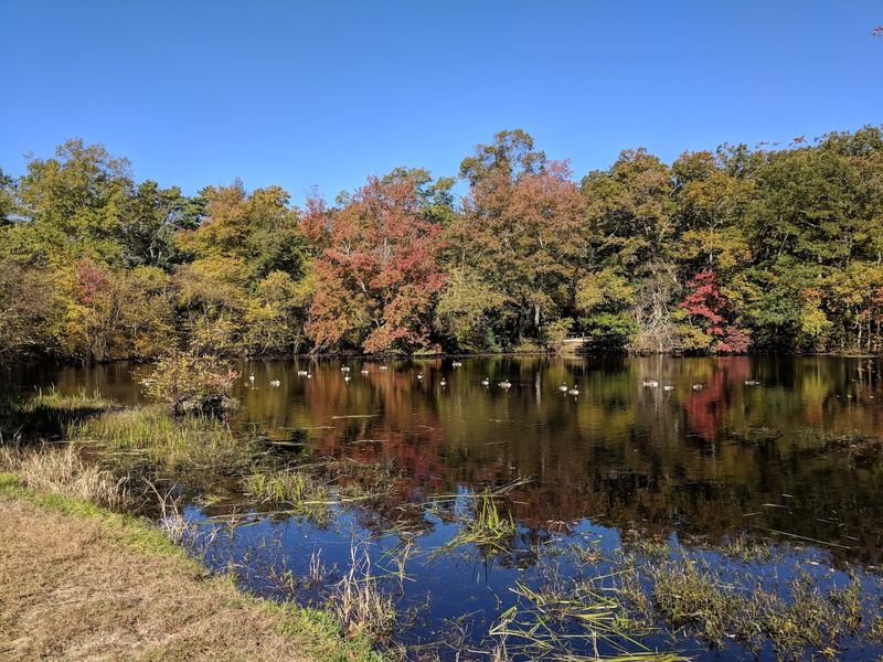 Camping Under the Stars at Allaire State Park