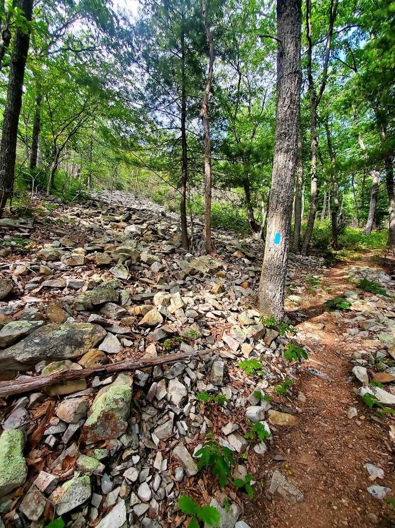 Getting There and Planning Your Perfect Visit