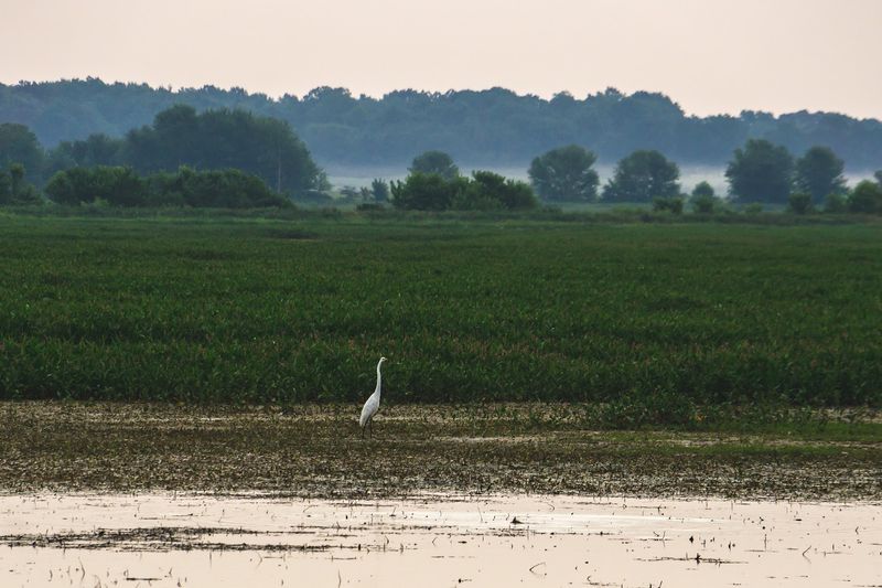 World-Class Migratory Bird Watching Opportunities
