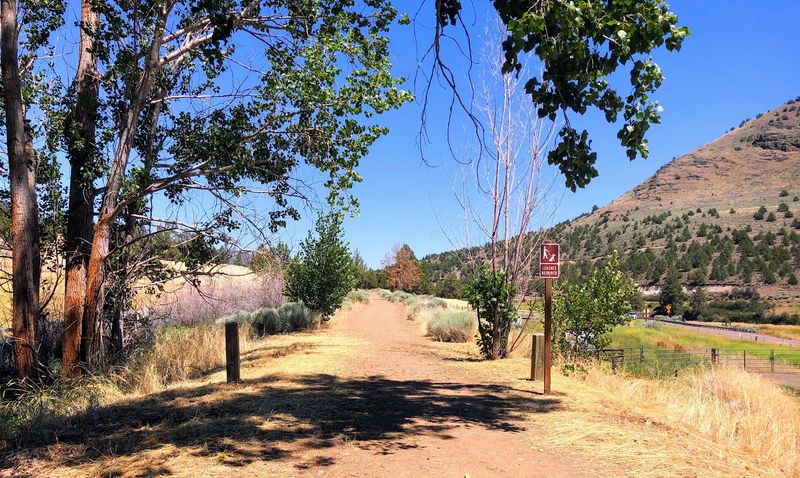 Wildlife And Nature Along The Trail