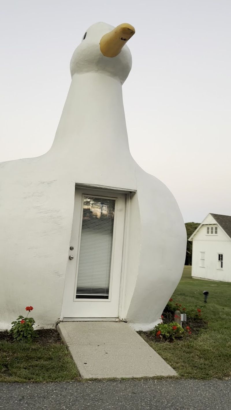 Free To See And Still Totally Unlike Anything Else