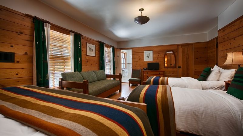 St. Bernard Dogs Bruno and Heidi Are Beloved Lodge Residents