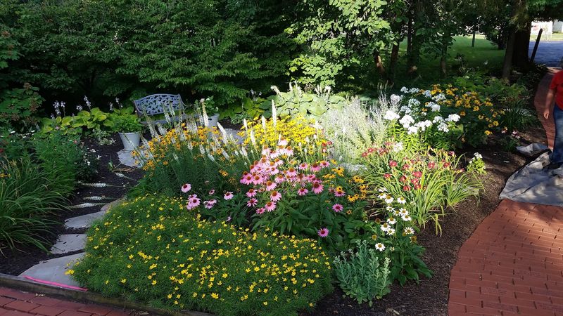 What to Do Nearby After Your Visit