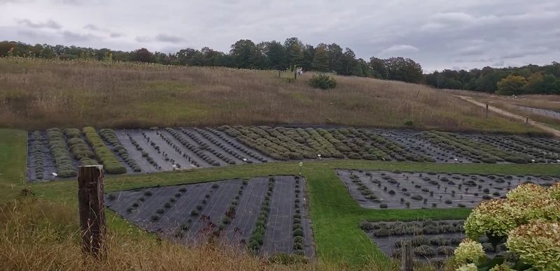 Why This Stop Feels Calmer Than Most Day Trip Ideas