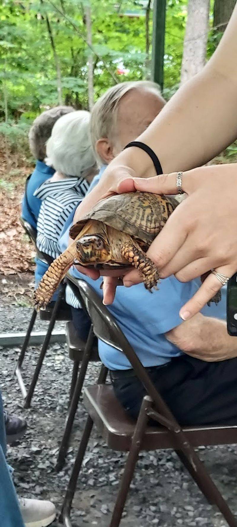 Bringing In an Injured Animal: What Actually Happens