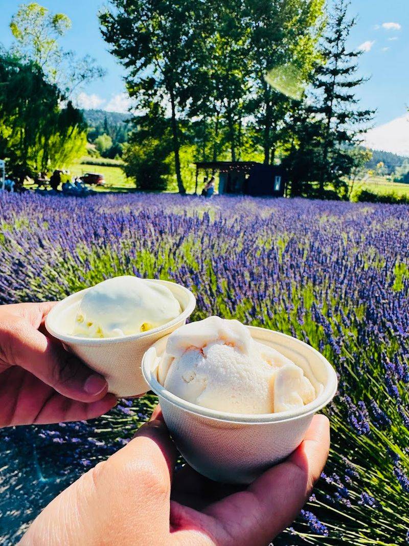 Lavender Treats You’ll Crave