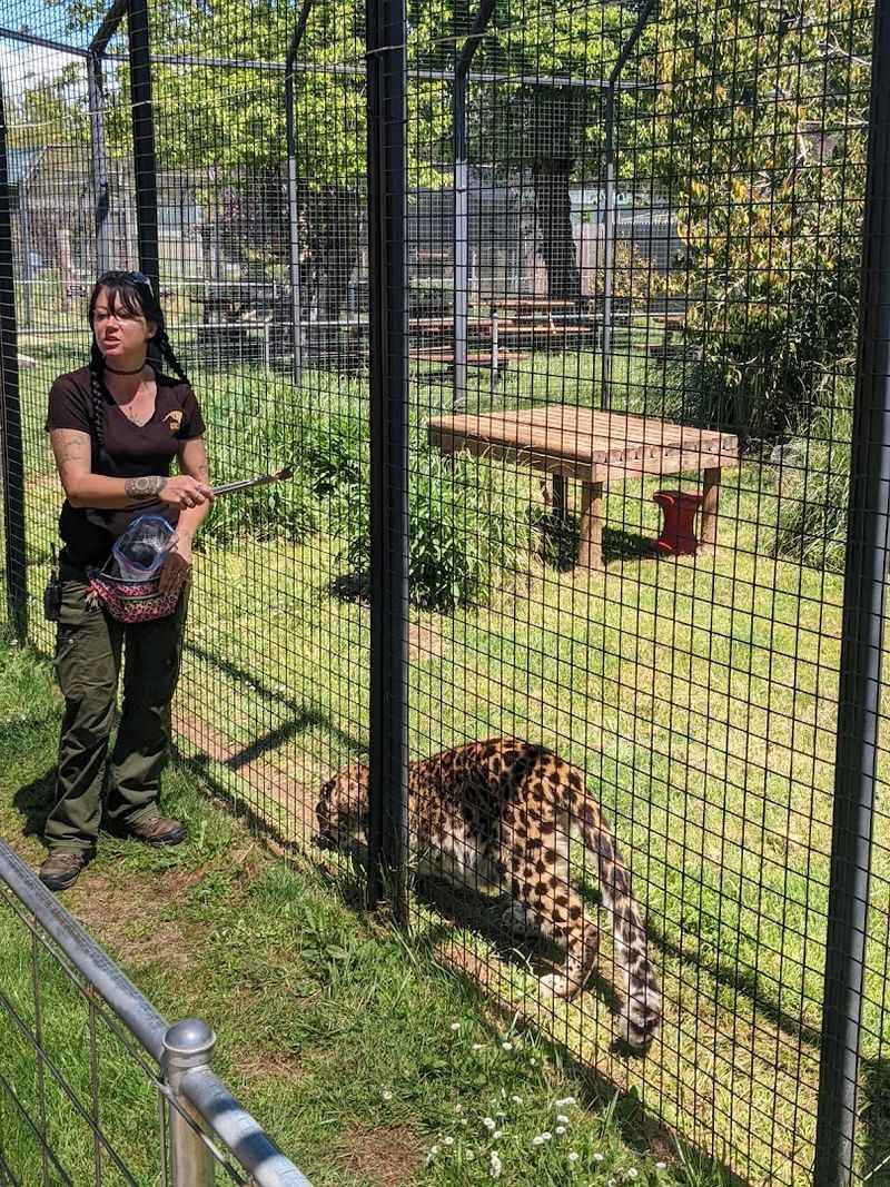 The Staff and Their Deep Love for These Animals