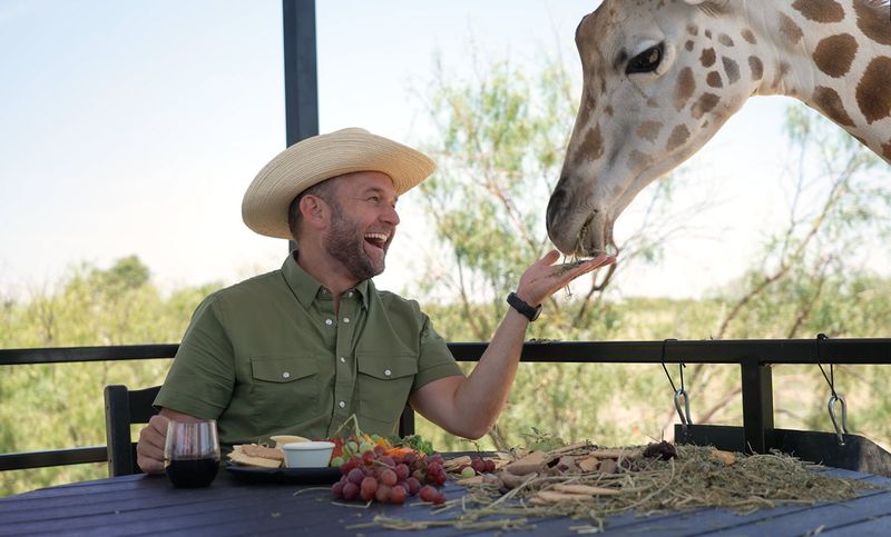 Dining With Giraffes: A Meal You Will Never Stop Talking About