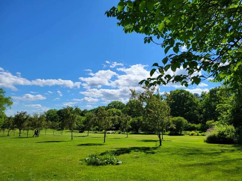 Rolling Lawns and Open Green Spaces Worth Every Step