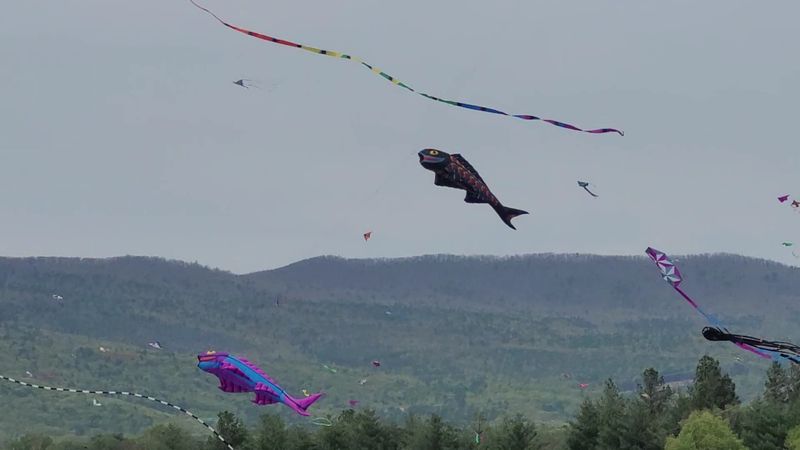 Richmond Air Force Kite Club: The Pros Take to the Sky