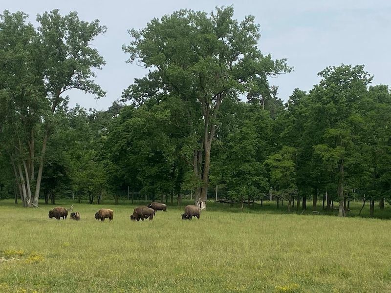 Perfect for Families With Kids of Any Age