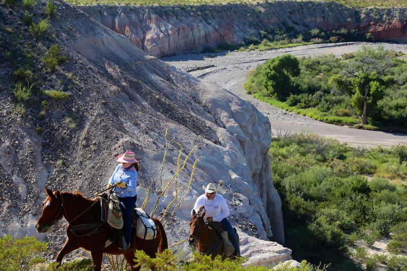 Horses That Are Well-Matched to Their Riders