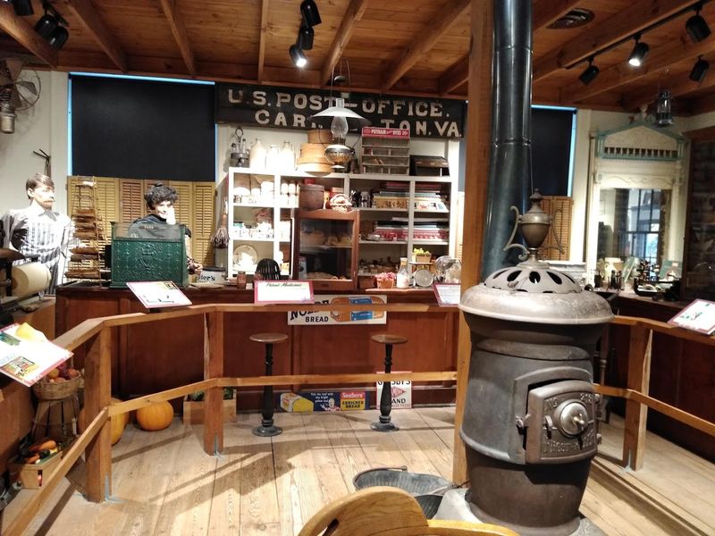 Prehistoric Fossils and Ancient Wonders