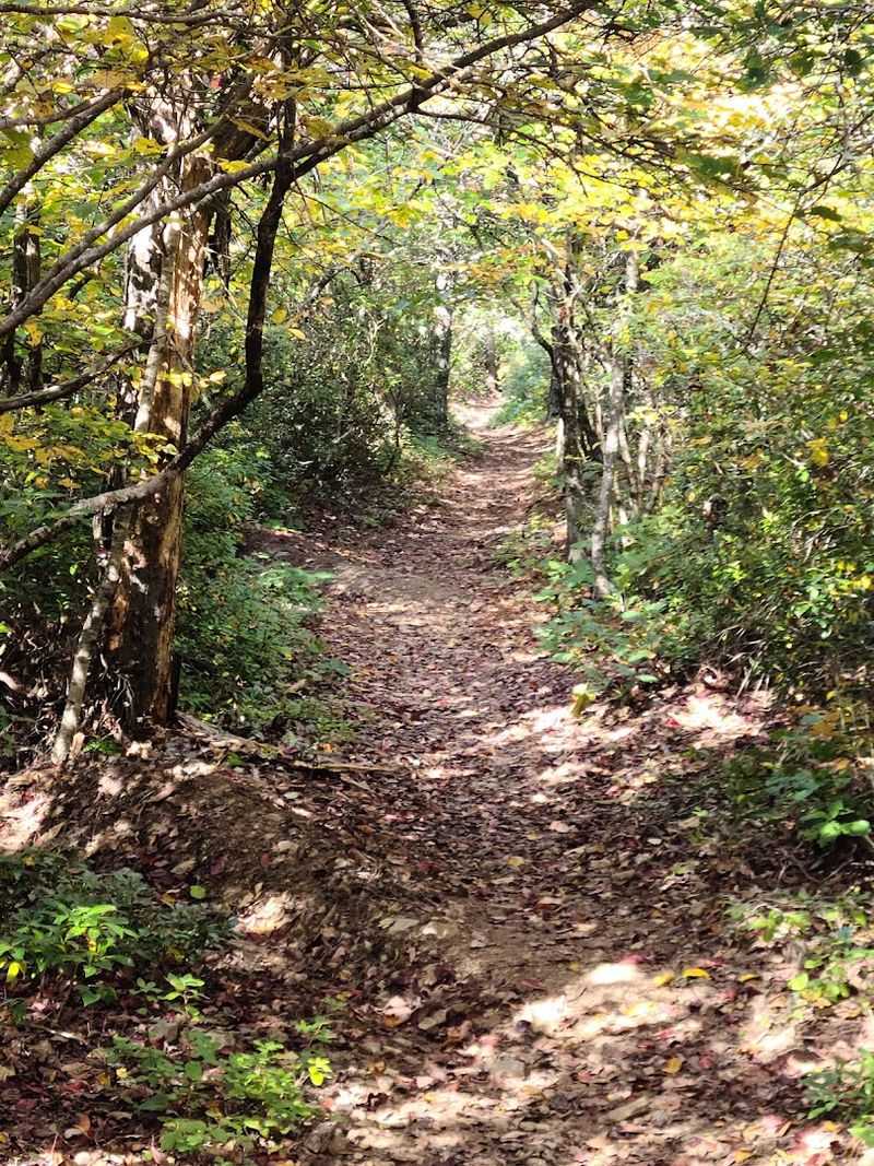 Where the Trail Actually Begins