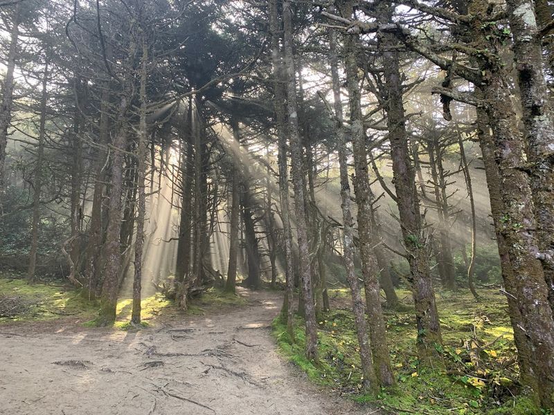 Best Time to Visit: Seasons Shape the Experience