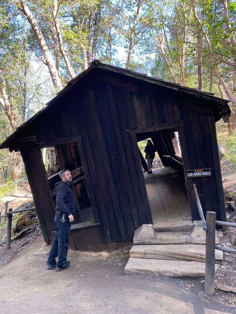 The History Behind the Vortex Property