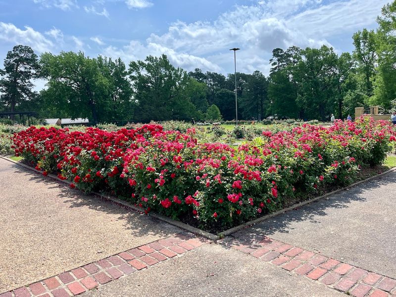 The Rose Garden Center and Educational Exhibits