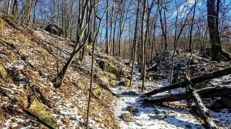 Wildcat Ridge's Rugged Terrain: Where the Trail Gets Real