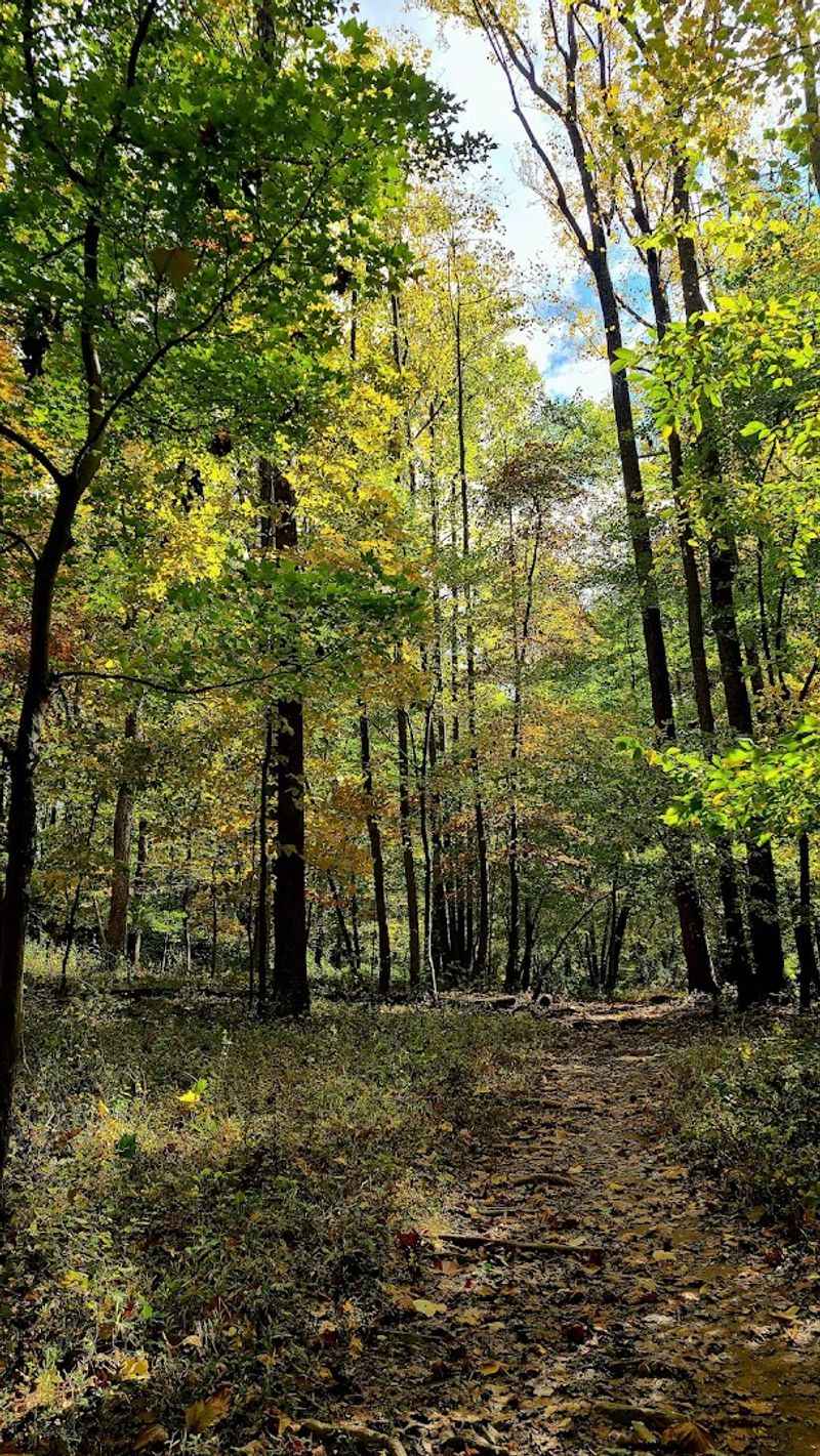 The Wolf Trap Trail: Virginia's Most Theatrical Footpath