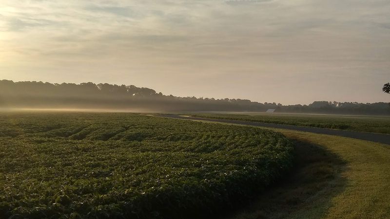 Biking the Park Roads and Trails