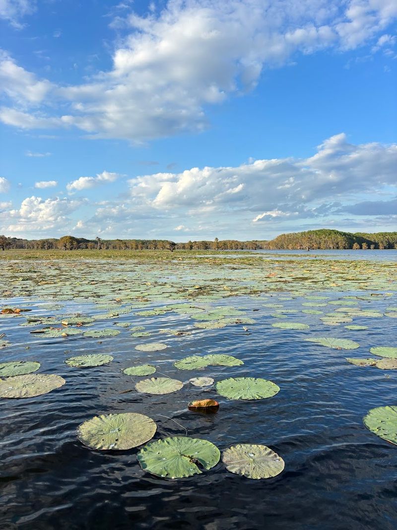 The Unique Ecosystem of One of Texas's Only Natural Lakes