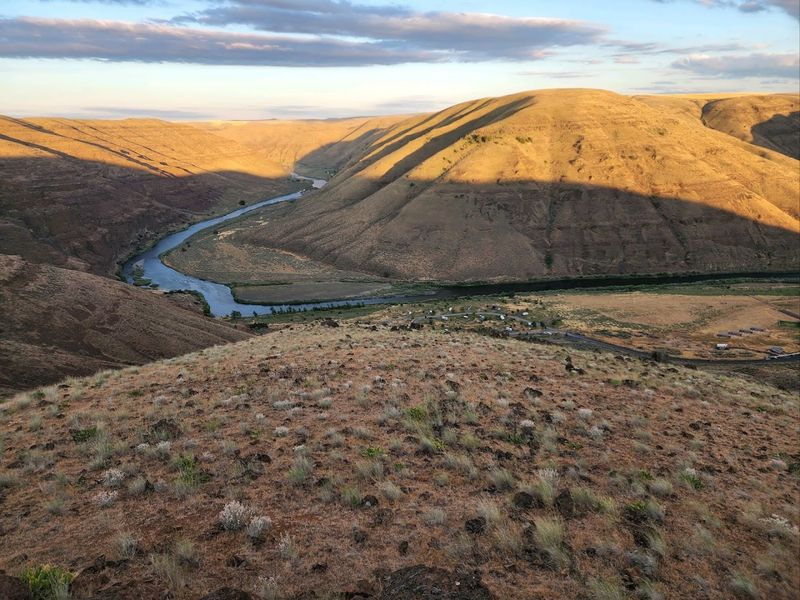 Wildlife Watching Throughout the Seasons