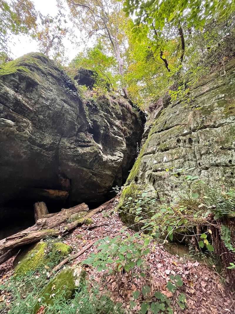Wildlife and Nature Watching Along the Trail
