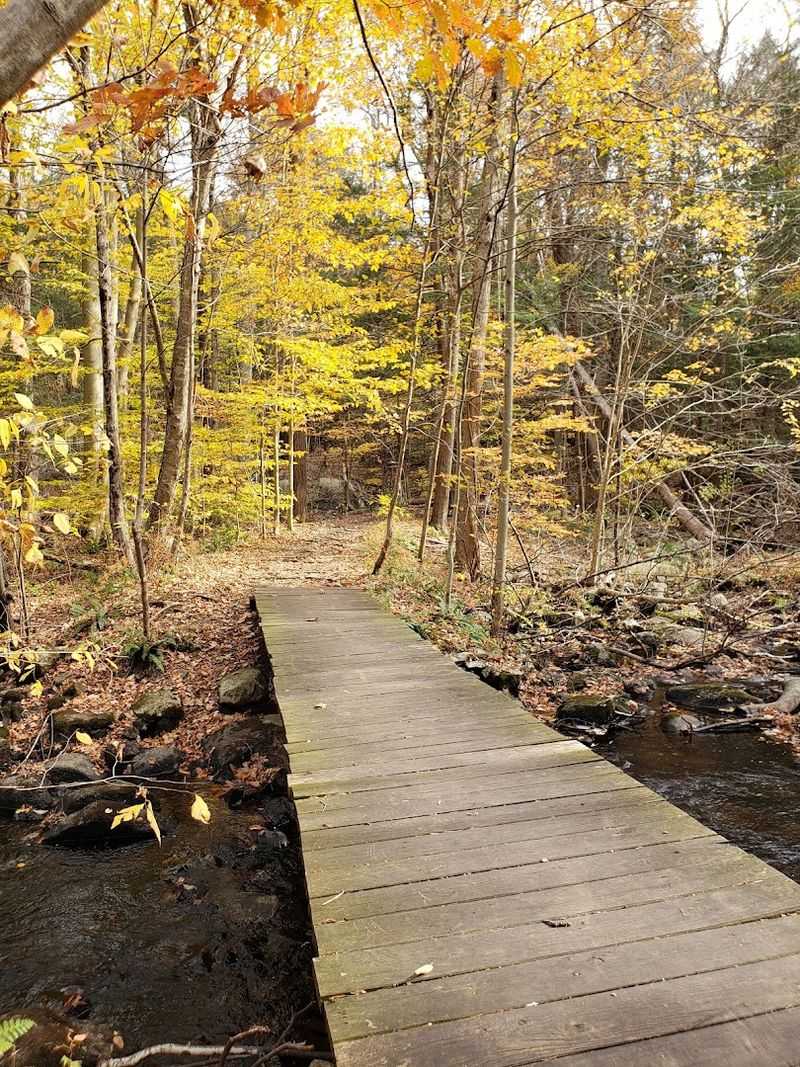 Wildlife Encounters Along the Trails