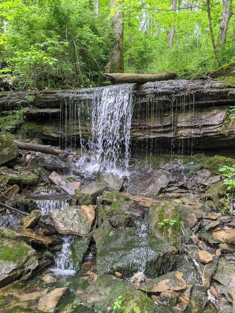 Nearby Places to Round Out Your Visit to Bloomington