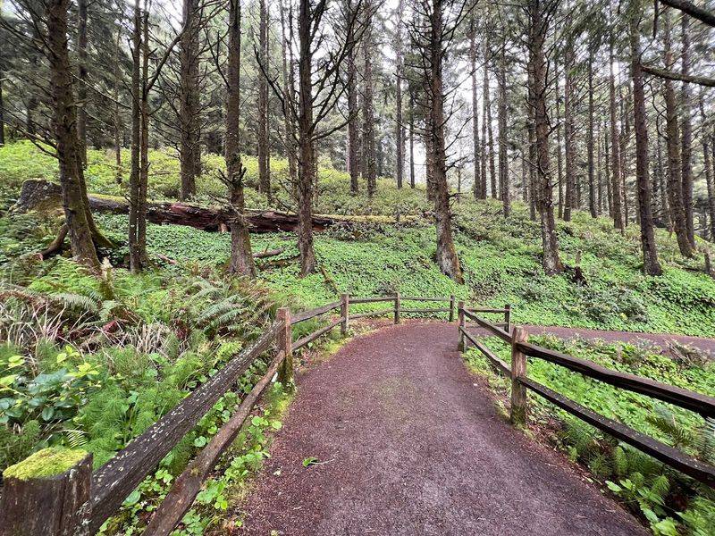 Getting There and Finding Your Way Around