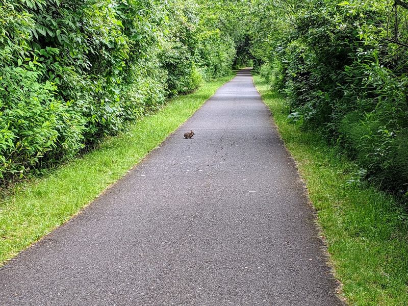 Starting Point at the Banks Trailhead
