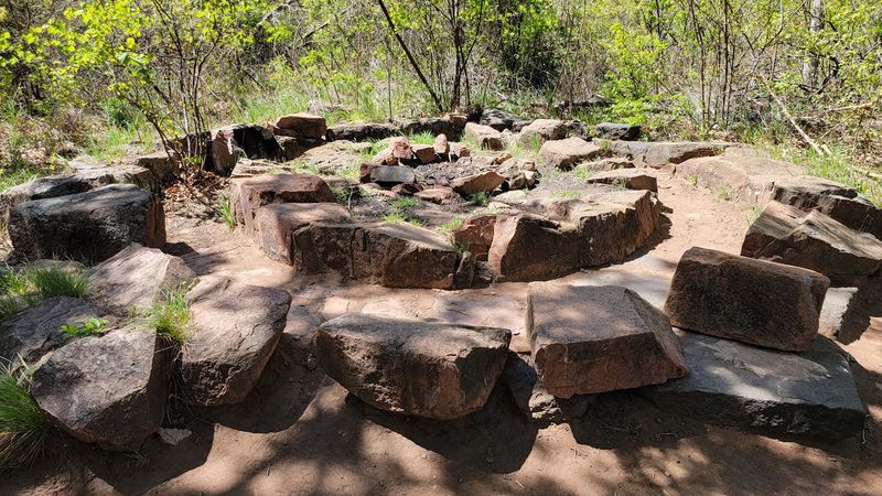 Visiting at Different Times of Day Gives You a Completely Different Forest