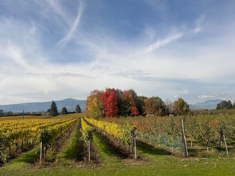 The Landscape That Becomes Part of the Meal