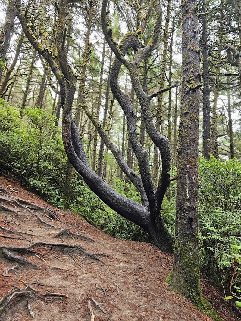 Trail Difficulty: Honest Talk About the Uphill Walk Back