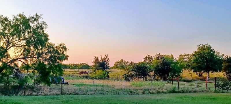 The Drive to Waco Is Part of the Experience
