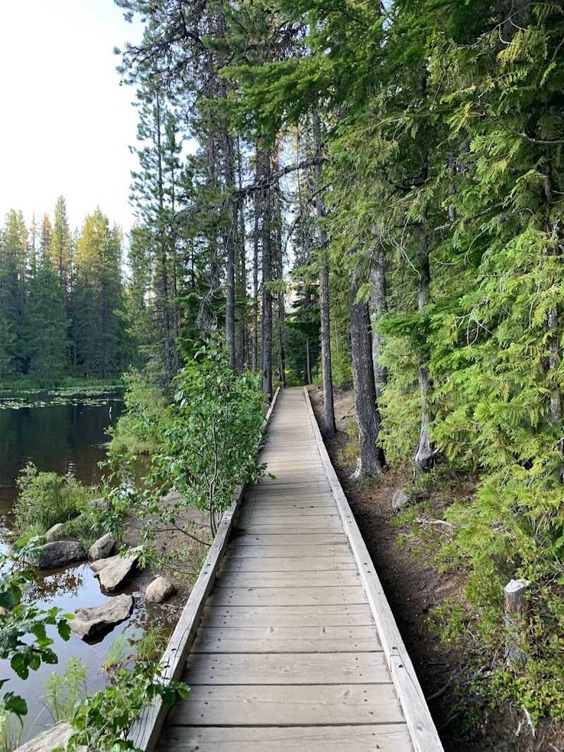 The Easy Loop Trail Around the Lake