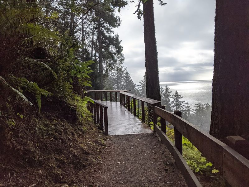 The Main Overlook Deck Experience