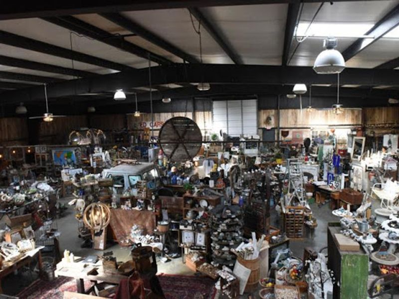 A Treasure Trove That Defies Expectations