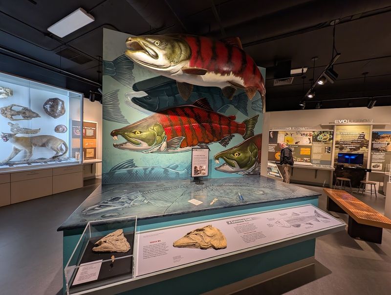 Ancient Salmon and the Surprising Aquatic Story of Oregon