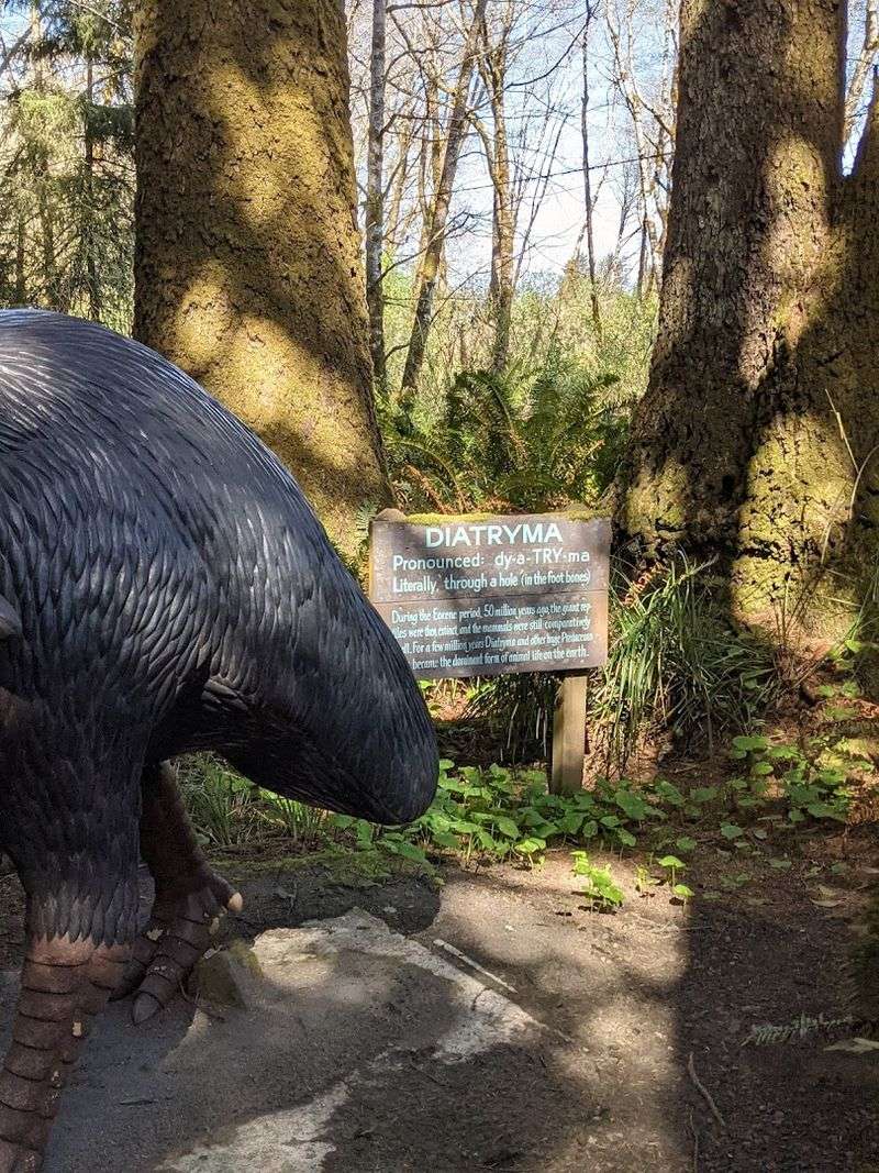 The Trail Itself: Short, Flat, and Surprisingly Memorable