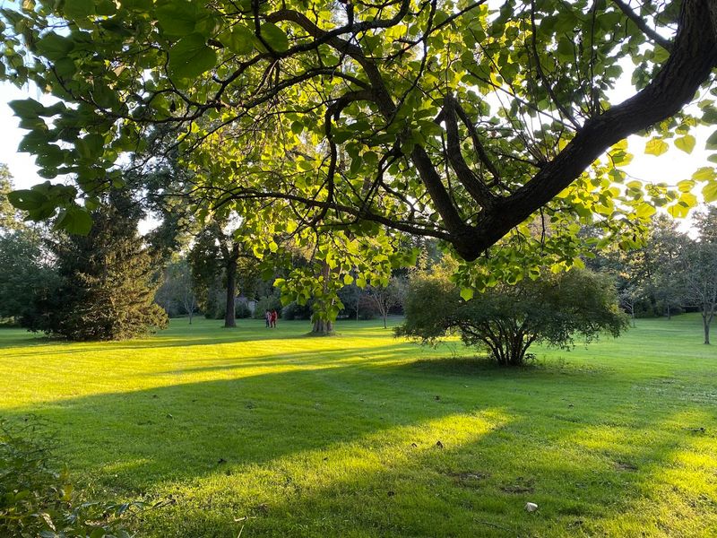 Picnicking and Relaxing the Right Way Amid Nature