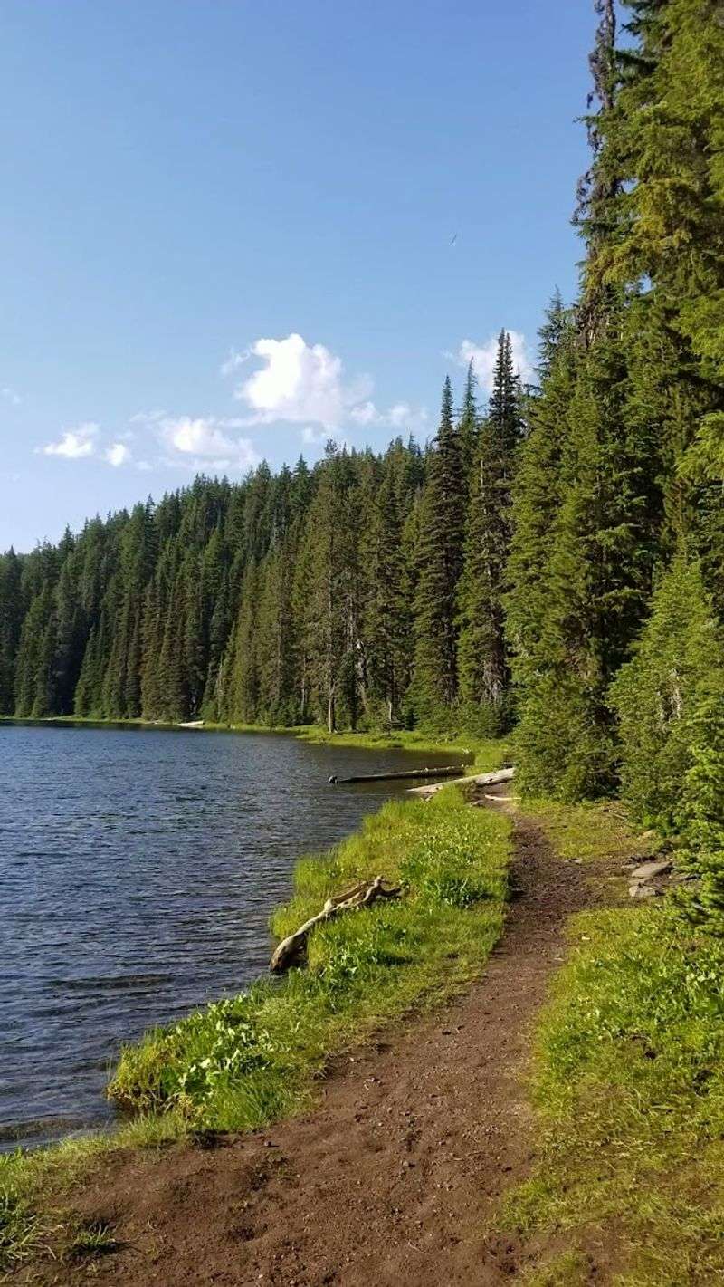 The Loop Trail Around the Lake