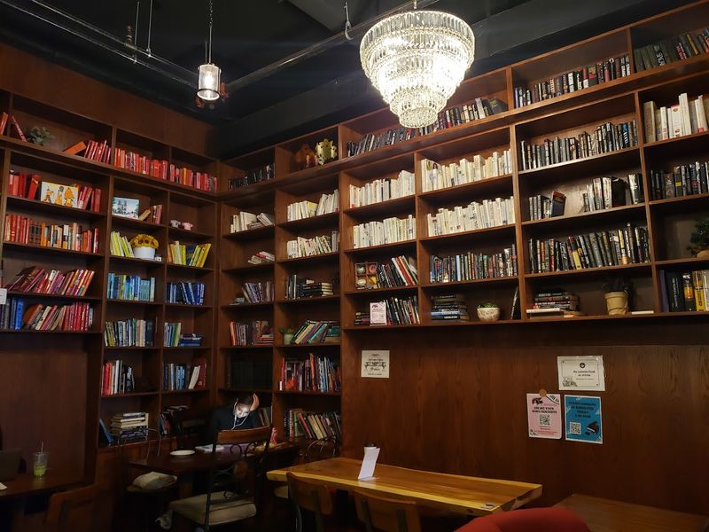 The Library Room Upstairs Is Pure Magic