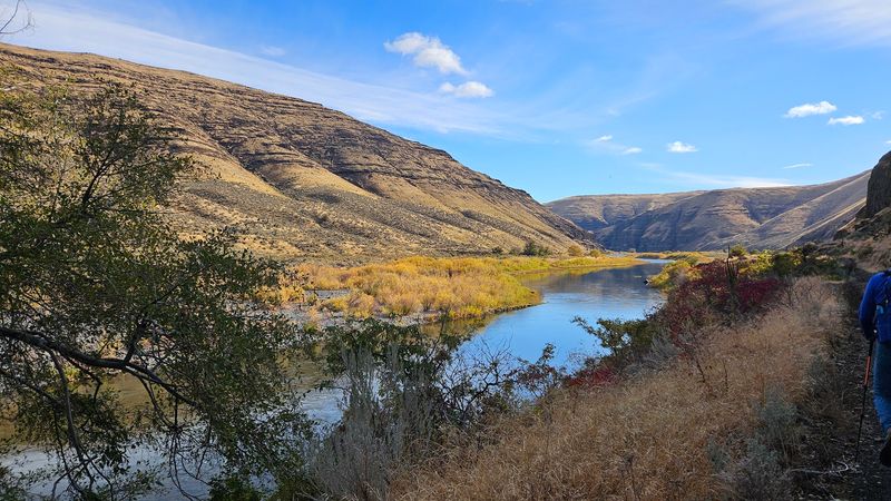 Wildlife Encounters Around Nearly Every Bend