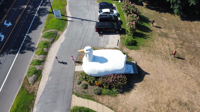 Why This Free New York Stop Feels So Distinct