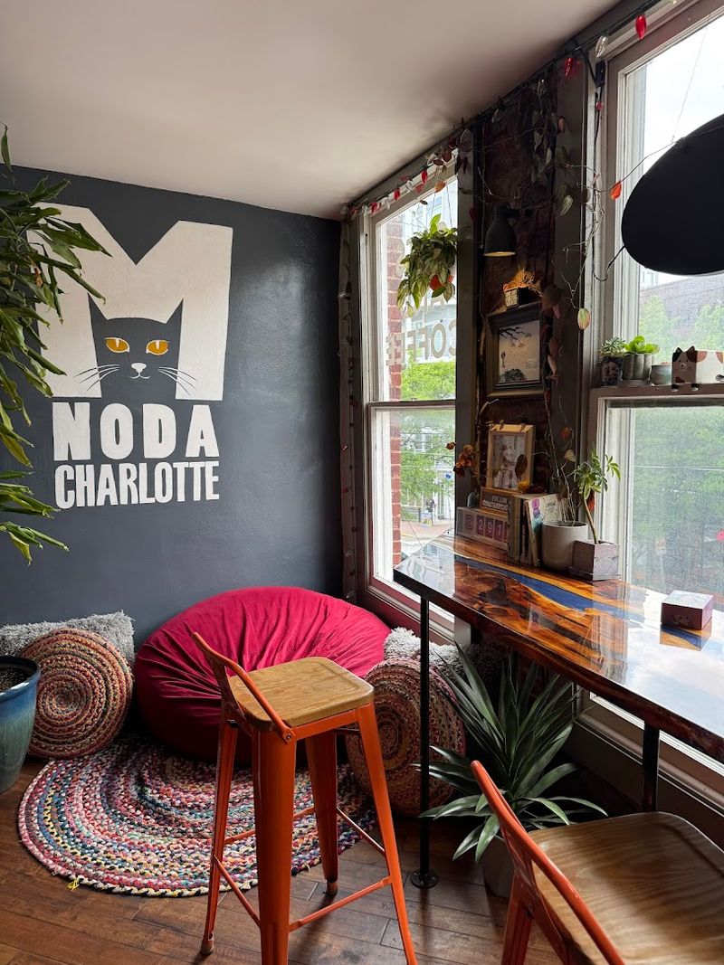 Cozy Cafe Energy That Makes It Easy To Settle In