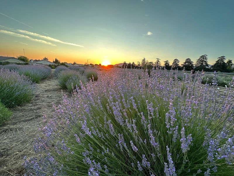 Why This Stop Gets More Magical As You Slow Down