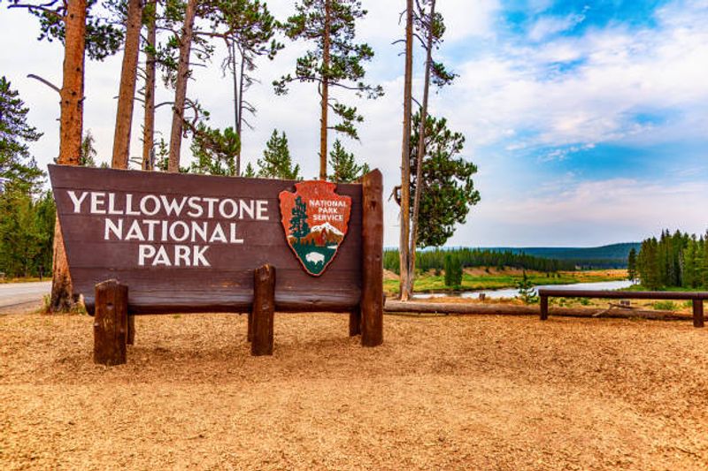 Why Visitors Still Keep Coming Despite The Slowdowns